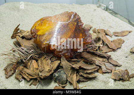 Bellissima ambra dal Mar Baltico Foto Stock