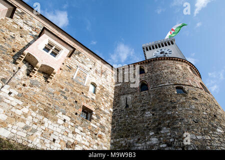 Il castello di Ljubljana Slovenia Foto Stock