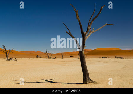 Deadvlei nei pressi del Sossusvlei nel Namib, Namibia, Africa Foto Stock