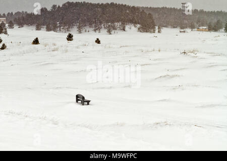 Un solitario panca è in procinto di essere coperti di neve in una bufera di neve a Kalajoki, Finlandia. Le dune di sabbia della spiaggia sono tutti bianchi di neve. Foto Stock