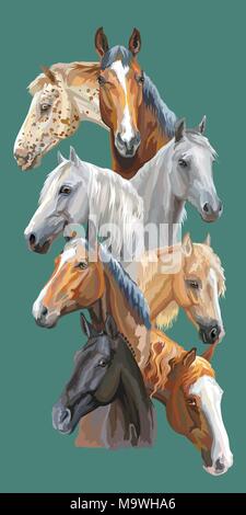 Cartolina verticale con ritratti di razze di cavalli (Trakehner cavallo, Pony Welsh, Orlov Trotter, Arabian Horse, Appaloosa horse) isolate su backg verde Illustrazione Vettoriale