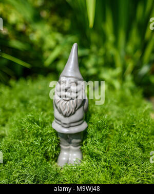 Una ceramica grigia gnome tra il verde del giardino. Foto Stock