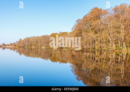 Lago di foresta con calma piatta acqua Foto Stock