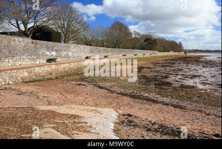 La capra a piedi, vista verso Exmouth, Topsham, Devon, Inghilterra, Regno Unito Foto Stock