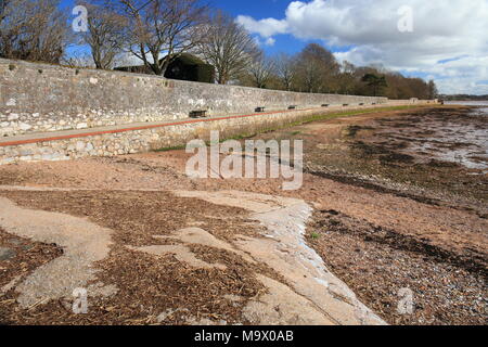 La capra a piedi, vista verso Exmouth, Topsham, Devon, Inghilterra, Regno Unito Foto Stock