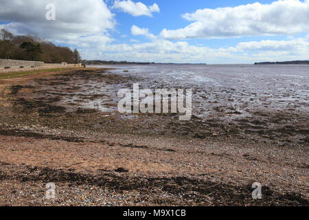 La capra a piedi, vista verso Exmouth, Topsham, Devon, Inghilterra, Regno Unito Foto Stock