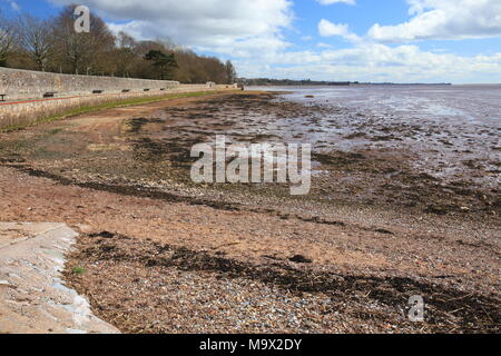 La capra a piedi, vista verso Exmouth, Topsham, Devon, Inghilterra, Regno Unito Foto Stock