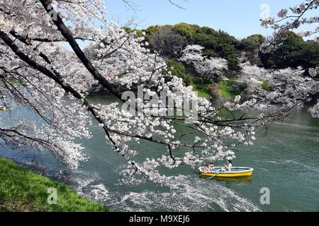 Tokyo, Giappone. 29 Mar, 2018. La gente di barca in un lago coperto con petali di fiori di ciliegio in Tokyo, Giappone, 29 marzo 2018. Credito: Ma Ping/Xinhua/Alamy Live News Foto Stock