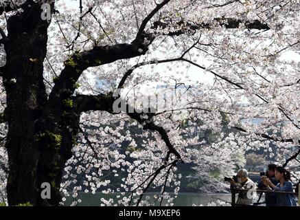 Tokyo, Giappone. 29 Mar, 2018. La gente a prendere le foto di fiori di ciliegio in Tokyo, Giappone, 29 marzo 2018. Credito: Ma Ping/Xinhua/Alamy Live News Foto Stock