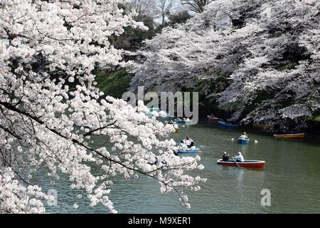 Tokyo, Giappone. 29 Mar, 2018. La gente di barca in un lago coperto con petali di fiori di ciliegio in Tokyo, Giappone, 29 marzo 2018. Credito: Ma Ping/Xinhua/Alamy Live News Foto Stock