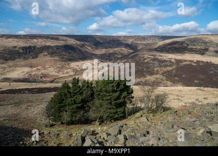 Bella brughiera scenario della Crowden in Nord Derbyshire, Inghilterra. Una soleggiata giornata di primavera. Vista Laddow rocce. Foto Stock