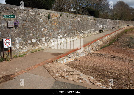 La capra a piedi, vista verso Exmouth, Topsham, Devon, Inghilterra, Regno Unito Foto Stock