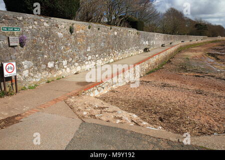 La capra a piedi, vista verso Exmouth, Topsham, Devon, Inghilterra, Regno Unito Foto Stock