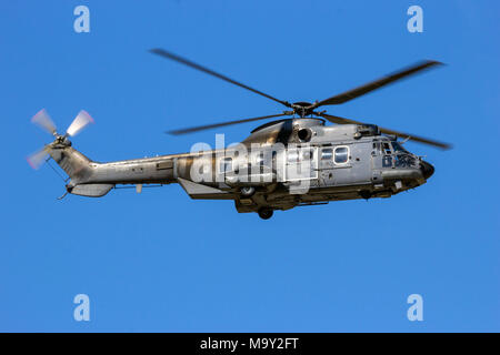 GILZE-Rijen, Paesi Bassi - 7 SET 2016: Olandese Air Force Eurocopter Cougar trasporto militare elicottero in volo. Foto Stock