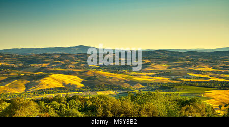 Toscana Campagna Vista panoramica dal Monte Amiata Montegiovi, vigneti e prati verdi. Grosseto Toscana, Italia Foto Stock