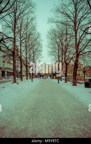 OSLO, Norvegia - marzo, 26, 2018: vista esterna delle persone che camminano per le strade a tree allineamento nel Parco Vigeland, Oslo. Coperta di neve Foto Stock