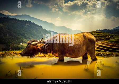 Asien, Südostasien, Nordvietnam, Vietnam, Sapa, Berge, Bergwelt Foto Stock