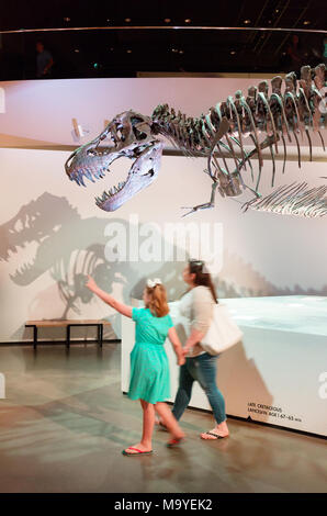 La madre e il bambino guardando un T Rex fossile di il tirannosauro Rex dinosauro, Houston Museo di Scienza Naturale, Houston, Texas, Stati Uniti d'America Foto Stock