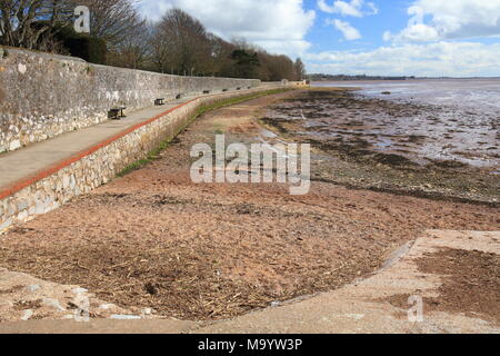 La capra a piedi, vista verso Exmouth, Topsham, Devon, Inghilterra, Regno Unito Foto Stock