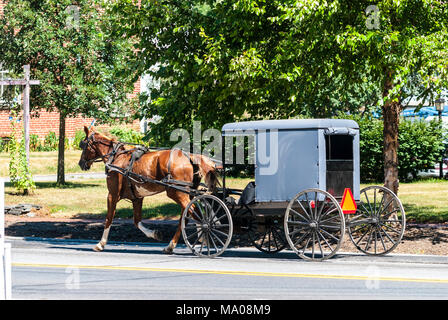 Cavallo Amish tirando un Buggy su una soleggiata giornata estiva per le strade di Lancaster, Pennsylvania Foto Stock