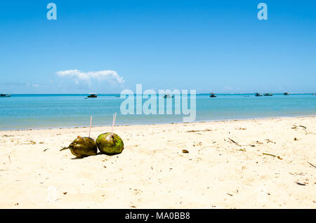 Coppia di noce di cocco verde insieme sulla spiaggia di sabbia in primo piano e sullo sfondo di un mare splendido con alcune imbarcazioni, canoe e un bellissimo cielo Foto Stock