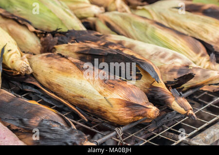 Il mais alla griglia su carbone di legna Foto Stock