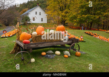 Strada stand di zucca, Bennington, Vermont Foto Stock