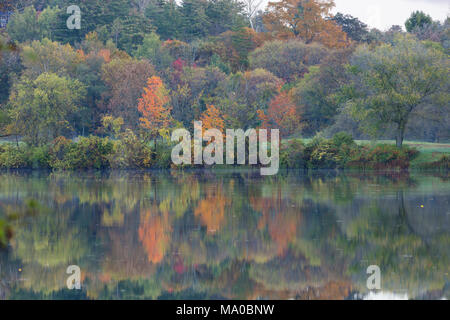 Il fogliame di autunno si riflette nel fiume Connecticut, North Thetford, Vermont Foto Stock