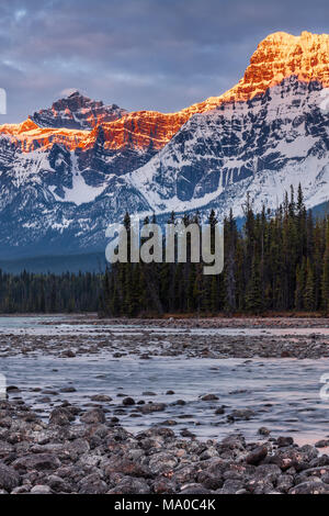 Montare Fryatt e idromassaggio picco con il Fiume Athabasca presso sunrise, il Parco Nazionale di Jasper, Alberta, Canada Foto Stock