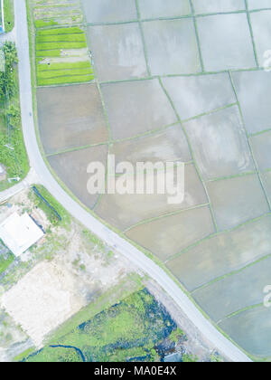 Vista dall'alto da fuco della bella risaie con il velluto verde germogli giovani nel villaggio thandland. Il metodo tradizionale per coltivare il riso wi Foto Stock