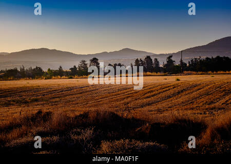 La mattina presto i campi e colline, Poli Crysochous, Cipro. Foto Stock