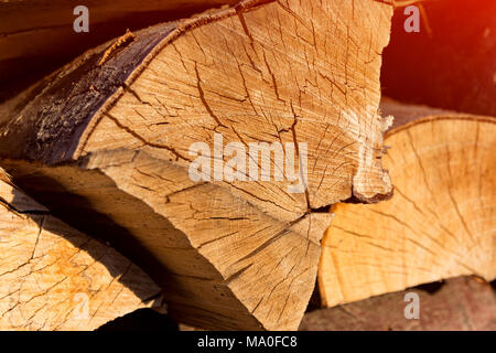 Texture di sfondo di corteccia di albero di close-up. Copia spazio per il testo. Il concetto di utilizzare il legno di sfiato nel decor e Foto Stock