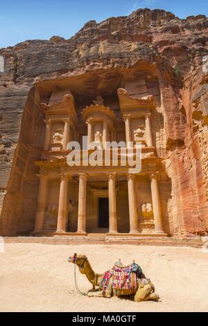 Camel utilizzato da guide locali per i turisti di intrattenimento e trasporti nella parte anteriore del tesoro, un famoso punto di riferimento in Petra, Giordania. Foto Stock