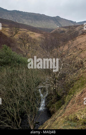 Fairbrook, un percorso sul lato nord di Kinder Scout nel parco nazionale di Peak District, Derbyshire, in Inghilterra. Foto Stock