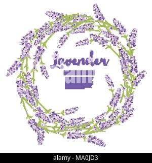 Corona di fiori di lavanda fiori isolati su bianco. Illustrazione Vettoriale. Illustrazione Vettoriale