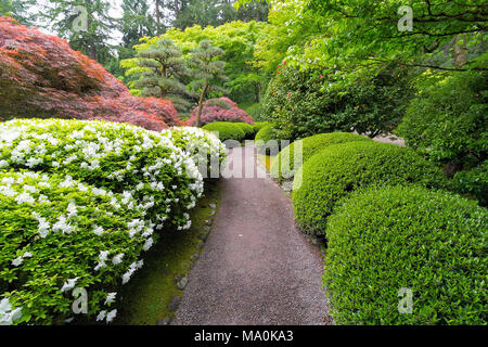 Passeggiando percorso da giardino con alberi e arbusti in giardino Giapponese nello stagione primavera Foto Stock