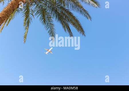 Un aereo commerciale di decollare su un albero di palma, tempo di vacanza spazio copia. Foto Stock