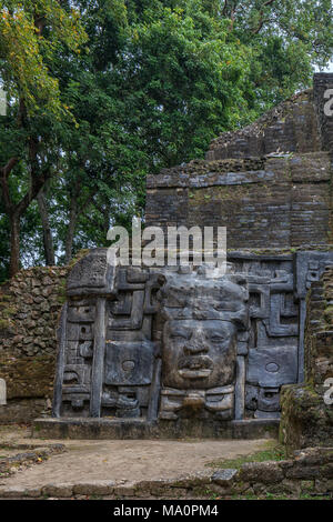 Le rovine maya di Lamanai. Die Maya-Ruinen von Lamanai. Foto Stock