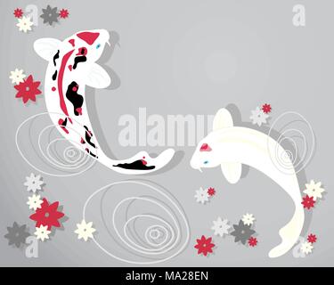 Una illustrazione di bel rosso bianco e nero carpe koi con fiore e increspature su acqua su uno sfondo grigio Illustrazione Vettoriale