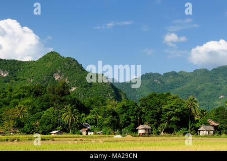 Casa in legno su palafitte in Asia nel villaggio Vietnamita Foto Stock