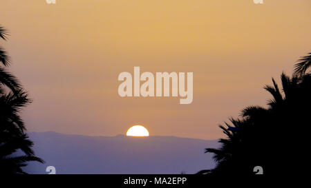 Tramonto tra le palme, tramonto sopra le nuvole, sole che va giù cielo arancione Foto Stock