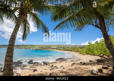 Four Seasons Resort si affaccia sulla spiaggia dorata e Palm tree di Hulopo"e Beach Park, Lanai Island, Hawaii, Stati Uniti d'America. Foto Stock