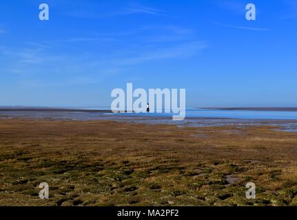 La Lune estuario Foto Stock