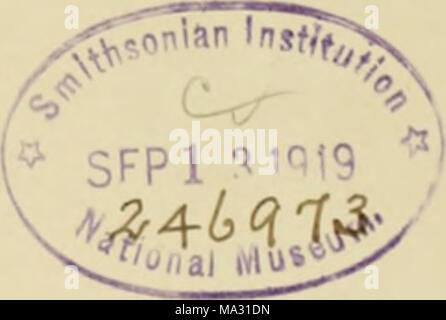 . Embiidinen; monographisch bearbeitet Foto Stock