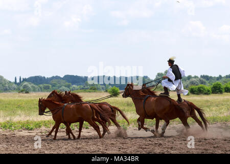 Equitazione a Bugac, Ungheria, grande pianura, Hortobágy Foto Stock