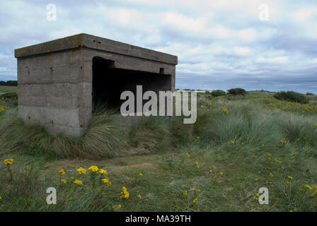 Seconda Guerra Mondiale installazione di cemento sulla costa del Northumberland tra le dune di sabbia Foto Stock