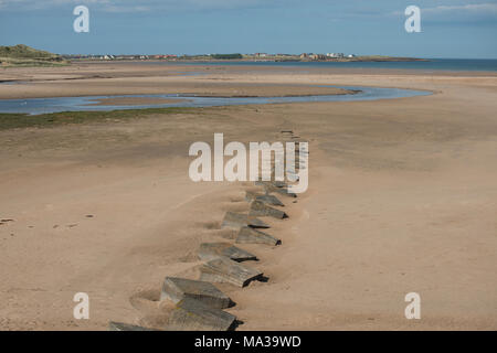 Una scena costiera con Beadnel, Northumberland sullo sfondo e una serie di trappole di carri armati in primo piano che conducono all'immagine Foto Stock