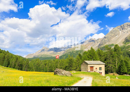 Capanna con bandiera della Svizzera in Val di Campo, Val Poschiavo, Graübunden, Svizzera. Foto Stock