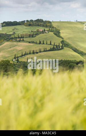 Toscana, Provenza di Siena, La Foce in Toscana colline, Italia Foto Stock