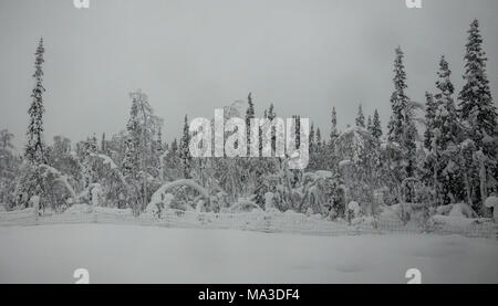 Viaggio in treno da Kiruna per Boden, Svezia Foto Stock